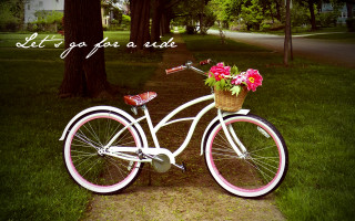 White bicycle flower basket sidewalk - bessie wheeler free wallpaper