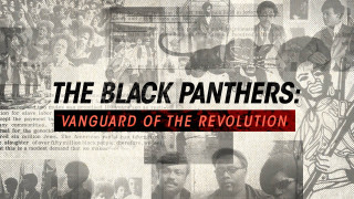 Black panthers vanguard revolution poster - emory douglas free wallpaper