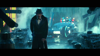 Man hat coat rain cane - a man in a hat free wallpaper