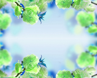 Flower blue background white border - a picture of a flower free wallpaper