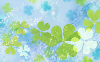 Four leaf clovers blue background - bubble free wallpaper for desktop