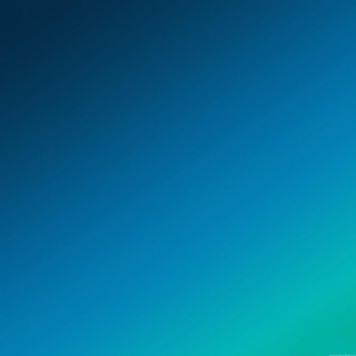 Blue sky plane flying foreground 2 - a plane in the foreground free wallpaper