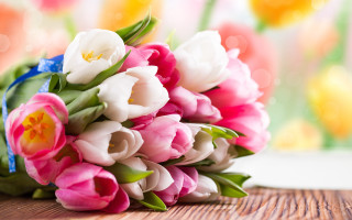 Bouquet tulips table window background - a table in front free wallpaper