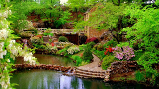 Pond trees flowers park bridge - a pond free wallpaper