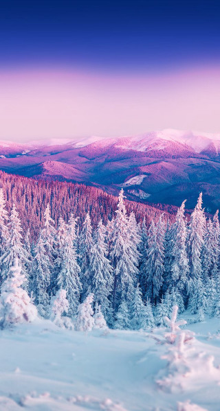 Snowy mountains pink sky trees - free forest wallpaper for mobile