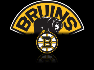Black yellow bear logo Bruinns - a bear free wallpaper