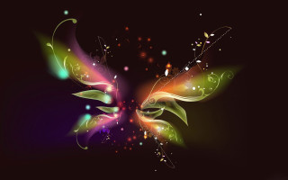 Colorful butterfly black background white 3 - a colorful butterfly free wallpaper