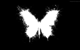 White butterfly black background white - a white butterfly free wallpaper