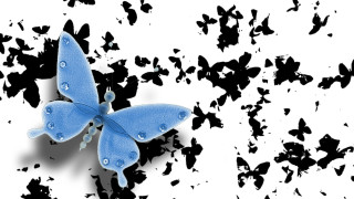 Blue butterfly water drops black - a blue butterfly free wallpaper