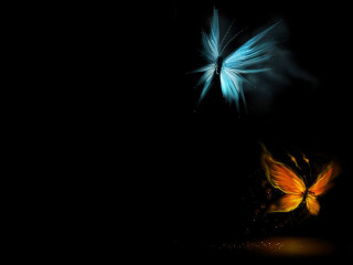 Butterfly flying dark light shining - wing free wallpaper