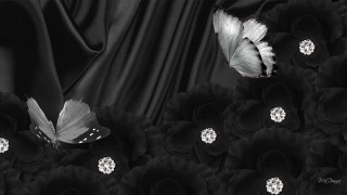 Black white butterfly flowers gothic - black background free wallpaper for desktop