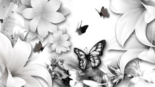 Butterfly flowers black white background 2 - ambient occlusion free wallpaper for desktop