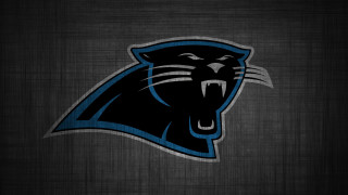 Black panther blue tiger face - dan frazier free wallpaper for desktop
