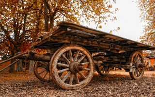 Wooden wagon autumn leaves forest - stuckism free wallpaper for desktop