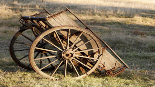 Wooden wagon field grass weeds - unreal engine 5 free wallpaper