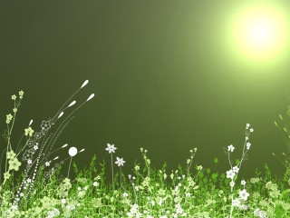 Green white flowery field bright - flowery free wallpaper for desktop