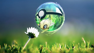Pokemon ball face nose grass - a flower in front free wallpaper
