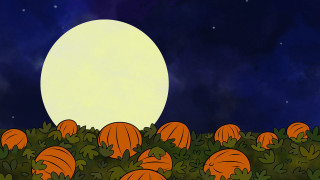 Pumpkin patch full moon cartoon - dark background free wallpaper