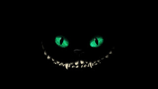 Glowing green cats eyes dark - the dark free wallpaper for desktop