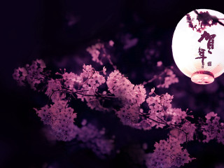 Lantern tree purple flowers dark - a lantern free wallpaper