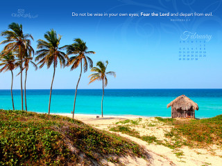 Beach calendar palm trees blue - benjamin franklin free wallpaper