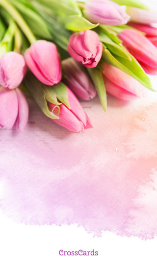 Pink tulips pink background white - a watercolor painting free wallpaper