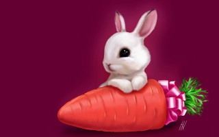 Rabbit sitting carrot bow neck - its neck free wallpaper