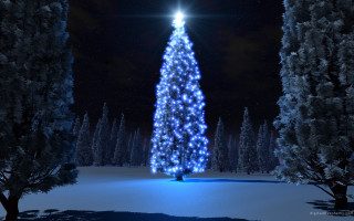 Christmas tree lit snow night 6 - a star free wallpaper