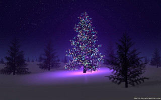 Christmas tree snow night purple 4 - a purple background free wallpaper
