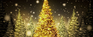 Christmas tree lit snow falling - a christmas tree free wallpaper for desktop
