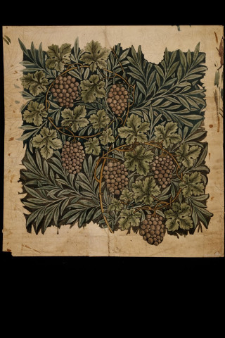 Grapes painting leaves berries paper - free hearts wallpaper