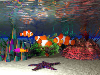 Fish starfish colorful aquarium corals - the bottom of the water free wallpaper