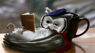 Owl reading book cup mouse - sophisticated free wallpaper