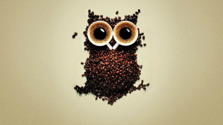 Coffee owl coffee beans shadow - coffee bean free wallpaper for desktop
