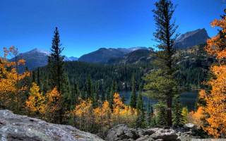Scenic mountain lake yellow leaves - yellow leaf free wallpaper
