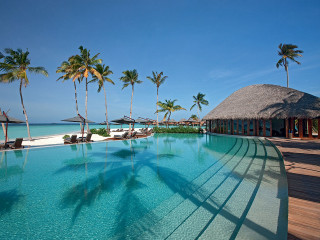 Resort pool palm trees beach 4 - roof free wallpaper for desktop