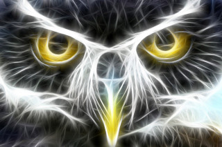 Owl yellow eyes analytical airbrush - white line free wallpaper