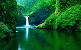 Waterfall green forest stream nature 12 - a green forest free wallpaper for desktop