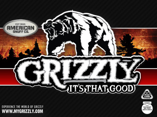 Bear sunset grizzly is that - a bear free wallpaper