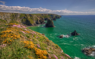 Cliff water flowers scenery nature - free summer wallpaper for desktop