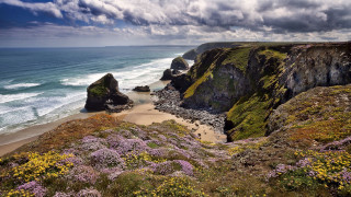 Beach cliff water clouds flowers - a cliff and a body of water free wallpaper