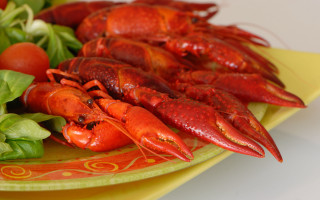Lobsters greens table yellow plate - a red border free wallpaper for desktop