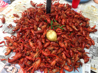 Craws onion newspaper table pile - high saturation free wallpaper