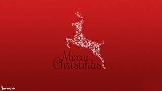 Red background white reindeer merry 2 - merry christmas free wallpaper