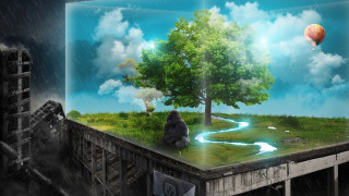 Tree river box sky hot - hot free wallpaper