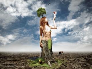 Woman tree glass dog beach - her head holding free wallpaper