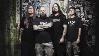 Men graffiti wall group stickers - alex petruk ape free wallpaper