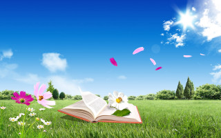 Book flowers grass sky clouds 4 - summer free wallpaper