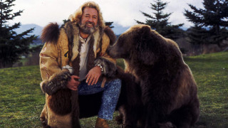 Man bears field grass trees - two bear free wallpaper