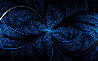 Blue flower black background blue 3 - a blue flower free wallpaper for desktop